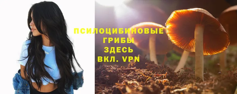 Псилоцибиновые грибы MAGIC MUSHROOMS  Лихославль 